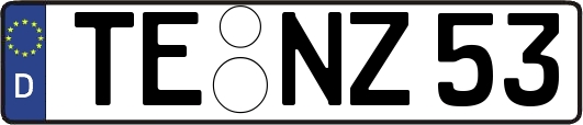 TE-NZ53