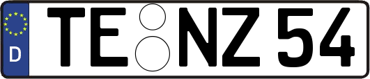 TE-NZ54