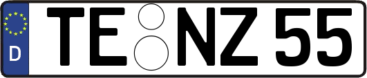TE-NZ55