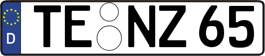 TE-NZ65