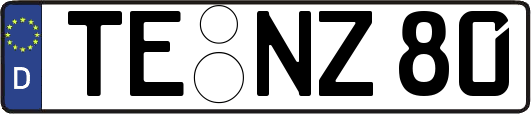 TE-NZ80