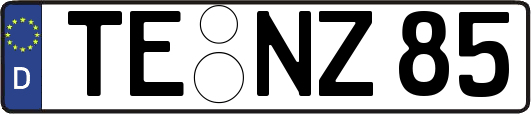 TE-NZ85