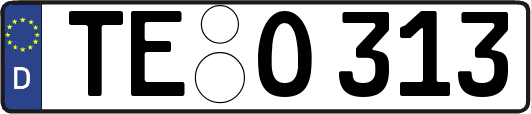 TE-O313