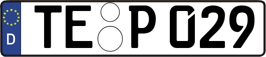TE-P029