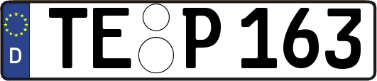 TE-P163