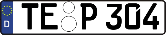 TE-P304