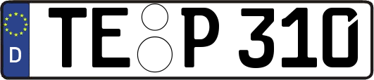 TE-P310