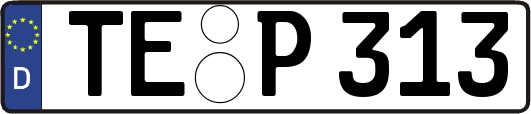 TE-P313