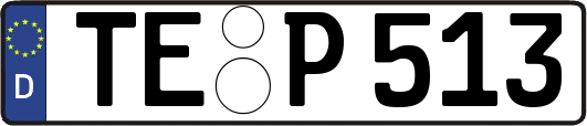 TE-P513