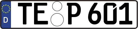 TE-P601