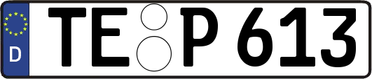 TE-P613