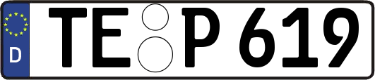 TE-P619
