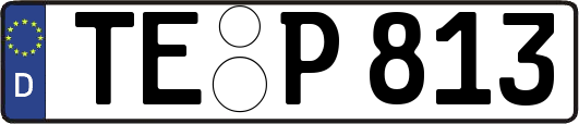 TE-P813