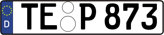 TE-P873
