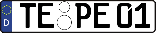 TE-PE01