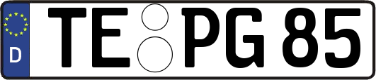 TE-PG85