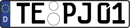 TE-PJ01