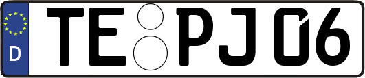 TE-PJ06