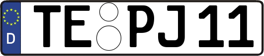 TE-PJ11