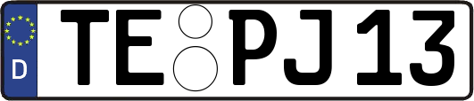 TE-PJ13