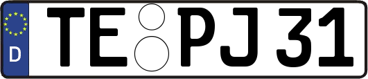 TE-PJ31