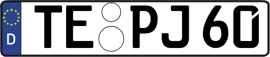 TE-PJ60