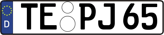 TE-PJ65