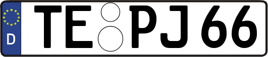 TE-PJ66