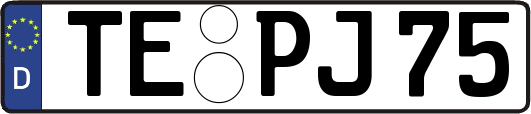 TE-PJ75