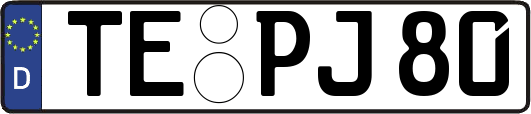 TE-PJ80