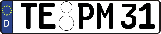 TE-PM31