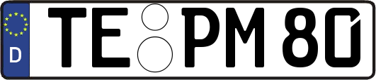 TE-PM80