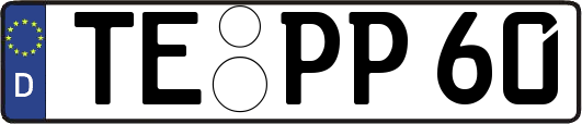 TE-PP60