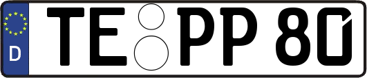 TE-PP80