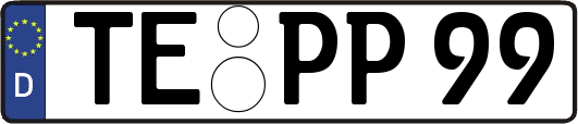 TE-PP99