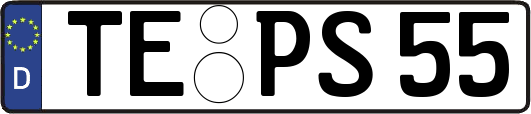 TE-PS55