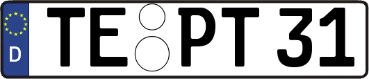 TE-PT31