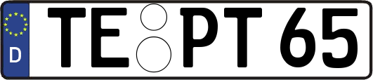 TE-PT65