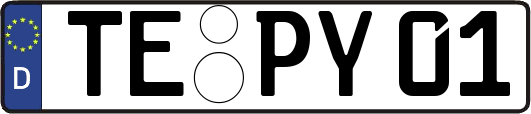 TE-PY01