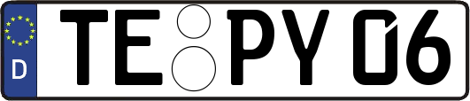 TE-PY06