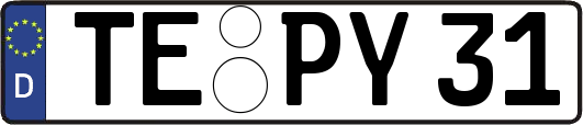 TE-PY31