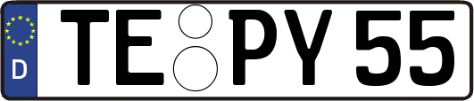 TE-PY55
