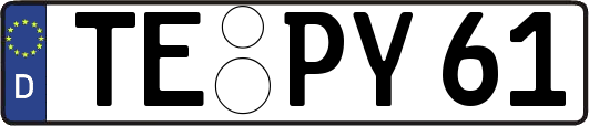 TE-PY61