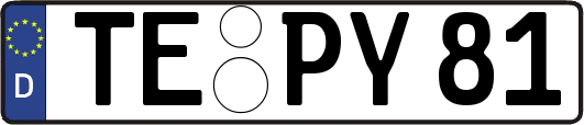 TE-PY81