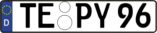 TE-PY96