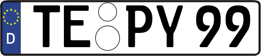 TE-PY99