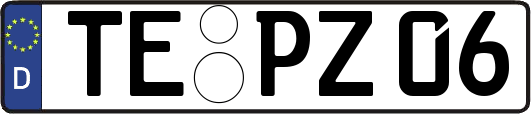 TE-PZ06