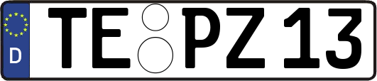 TE-PZ13