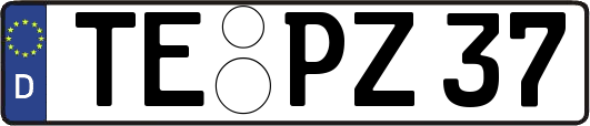 TE-PZ37