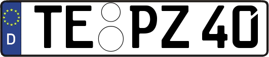 TE-PZ40